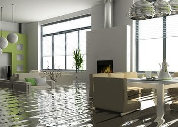 a flooded and moldy home in New York