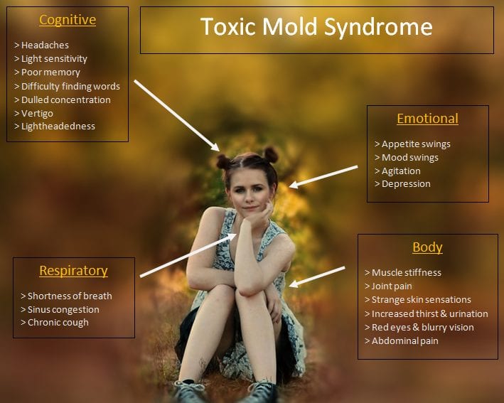 Symptoms of Toxic Black Mold Syndrome