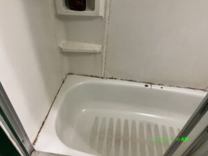 bathroom mold removal