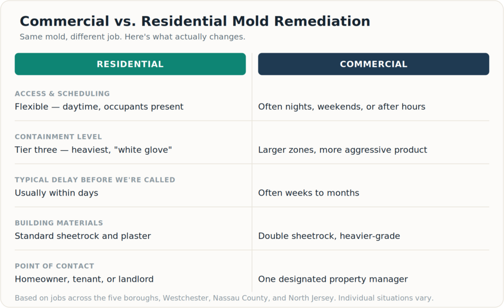 Comparison chart of commercial vs residential mold remediation showing differences in access scheduling, containment level, delay before calling, building materials, licensing, and point of contact