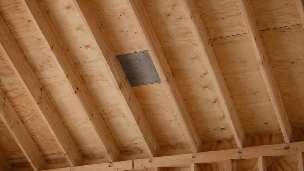 Attic roof sheathing viewed from below with one small treated section marked and the surrounding boards left untreated